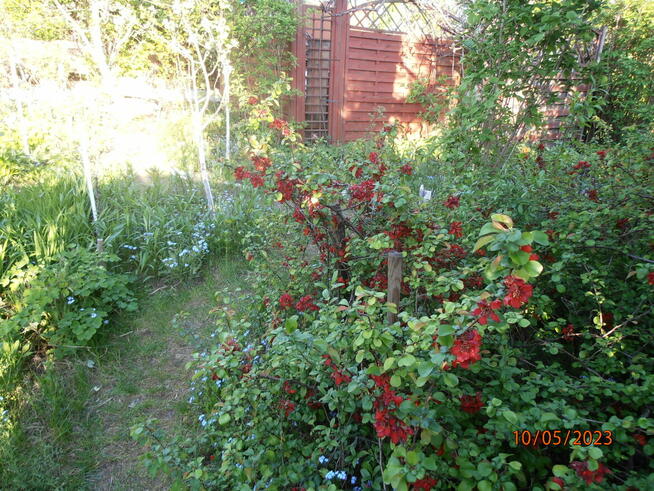 Sprzedam działkę rekreacyjną - ogrodzona na Retkini