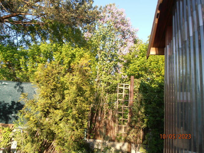 Sprzedam działkę rekreacyjną - ogrodzona na Retkini