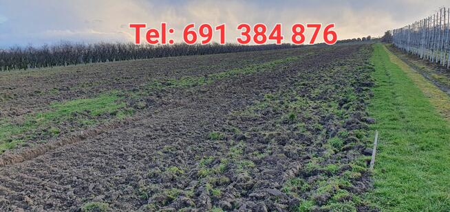 Sprzedam działkę 2ha blisko Sandomierza