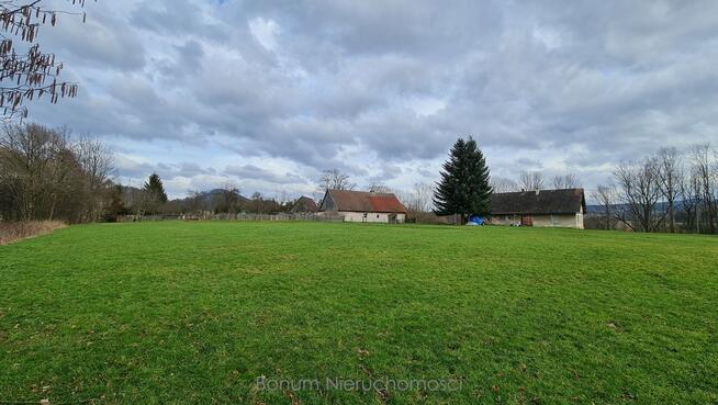 Obniżamy cenę działka w Trzebieszowicach