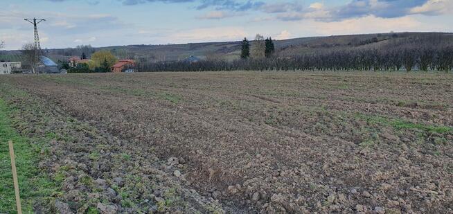 Sprzedam działkę 2ha blisko Sandomierza