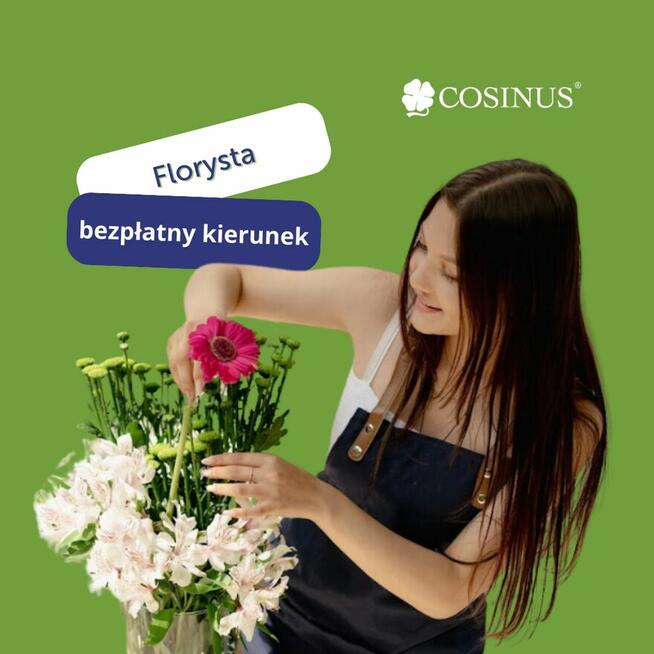 Florysta - Cosinus