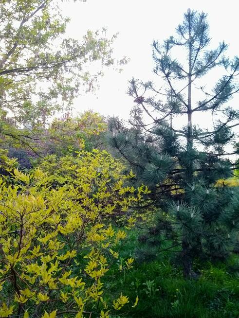 Pokój jednoosobowy dla mężczyzny - student/pracujący