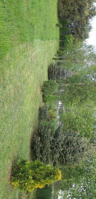 Domek letniskowy na Warmii i działka 2400m²