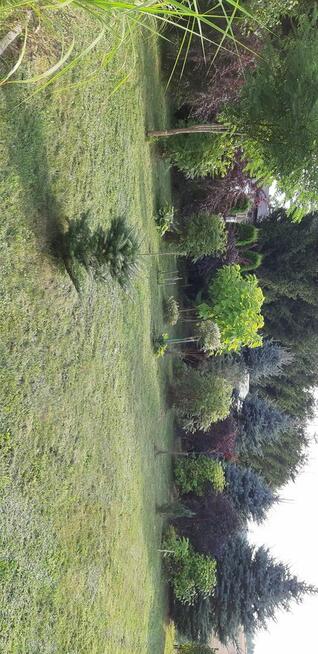 Domek letniskowy na Warmii i działka 2400m²