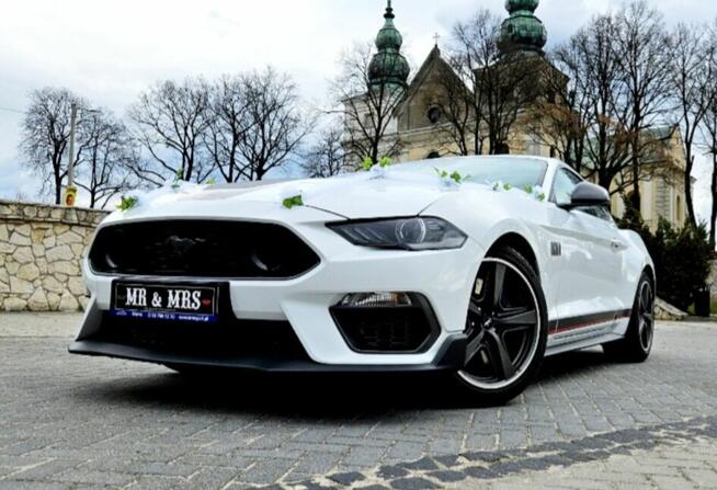 Biały Mustang do ślubu 5,0 l v8