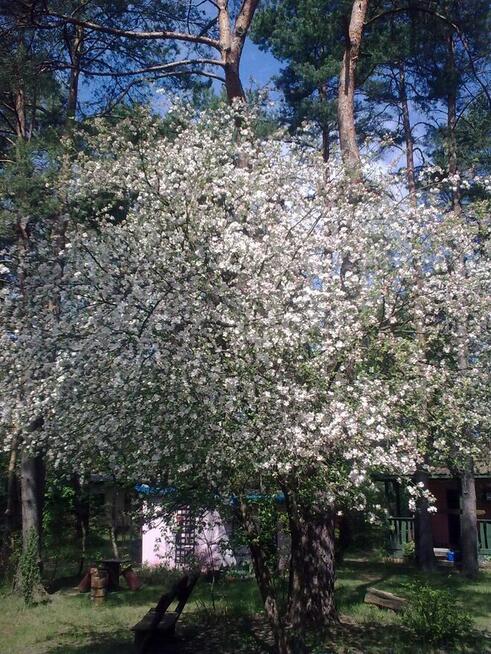 LETNISKO - DOMEK - URLE