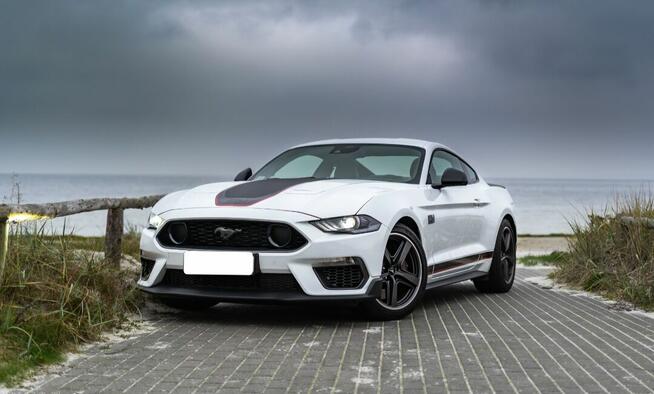 Biały Mustang do ślubu 5,0 l v8