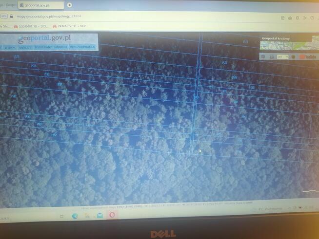 Działka leśna 29 arów - lasy łabuńskie