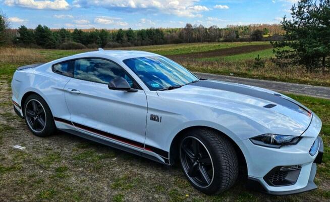 Biały Mustang do ślubu 5,0 l v8