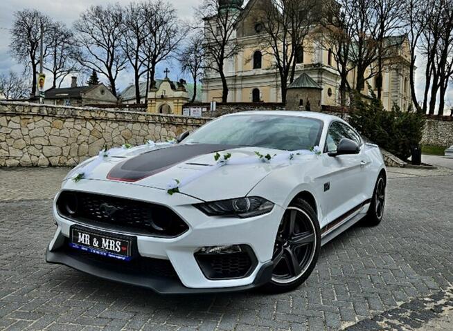 Biały Mustang do ślubu 5,0 l v8