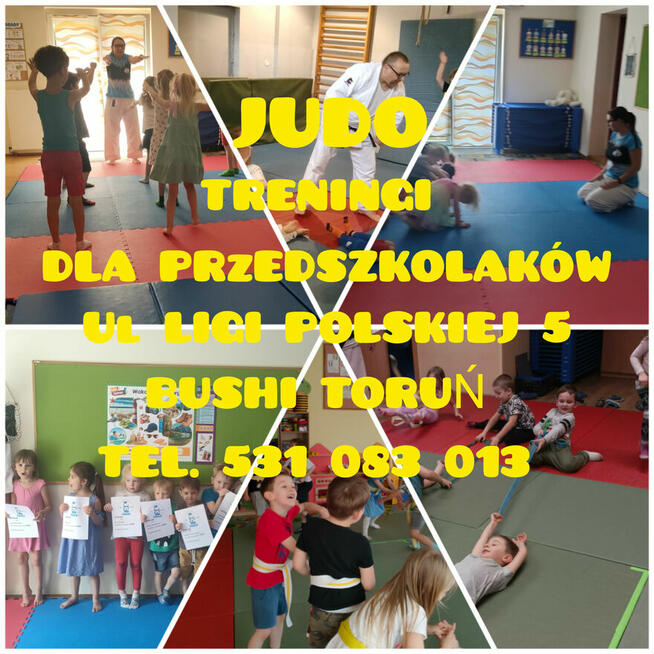 Dla przedszkolaków: zajęcia z elementami JUDO.