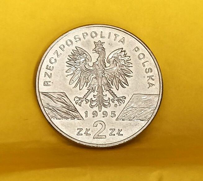 2 zł 1995 r. Sum
