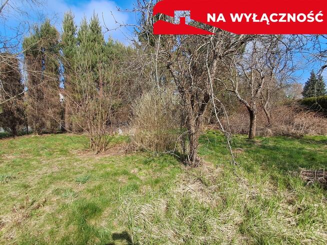 Siedlisko w Sadurkach