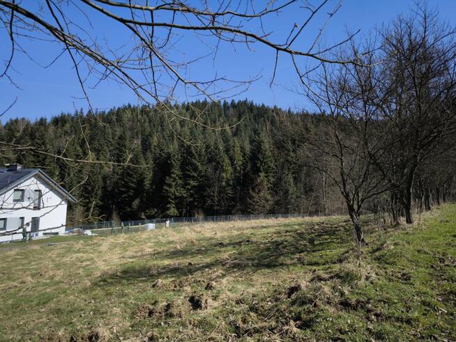 Działka inwestycyjna Pewel Wielka gm. Jeleśnia Szewcowa Polana,