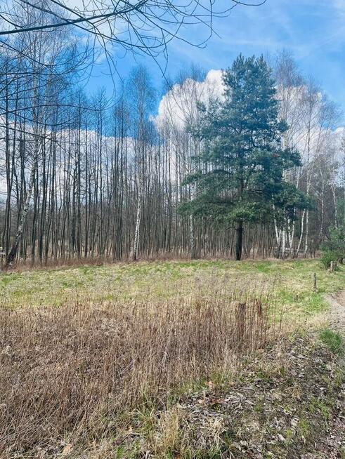 Działka nad jeziorem