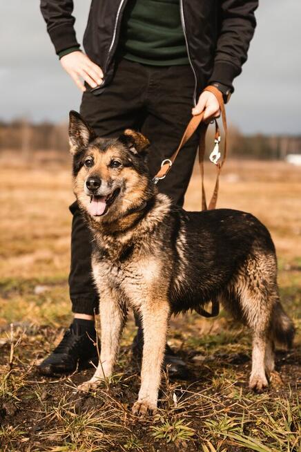 Sara jest z nami 6 lat. Ma za sobą powrót z nieudanej adopcj