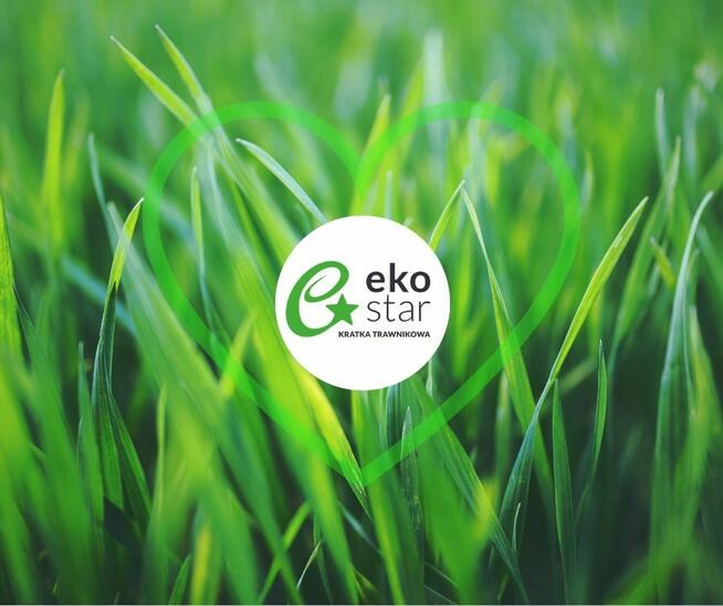 KRATKA TRAWNIKOWA Drogowa Stella Green Premium 60X40X4