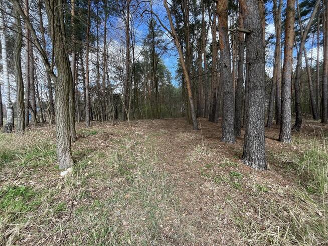 Atrakcyjna działka 2618 m2 w Oblasach-Księżę.