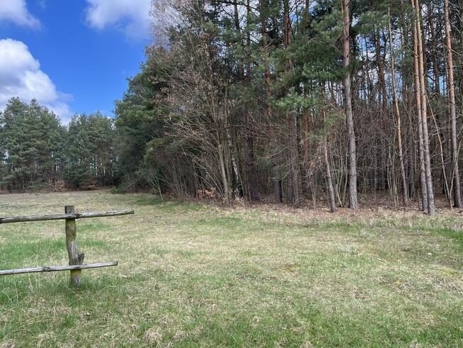 Atrakcyjna działka 2618 m2 w Oblasach-Księżę.