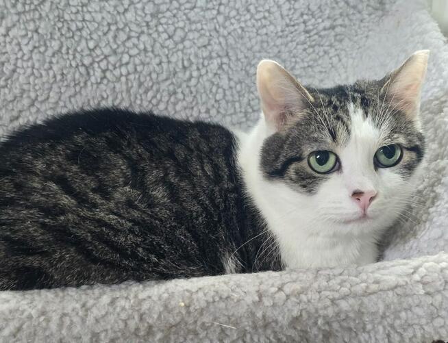 Alarm!!Busia Zielone Oczko blaga o dom Likwidacja DT-Wolont