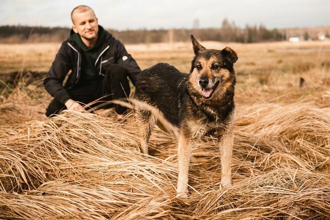 Sara jest z nami 6 lat. Ma za sobą powrót z nieudanej adopcj