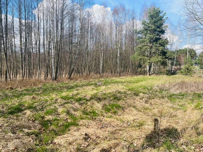 Działka nad jeziorem