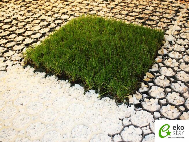 KRATKA TRAWNIKOWA Parkingowa Stella Green Premium 50x50x4