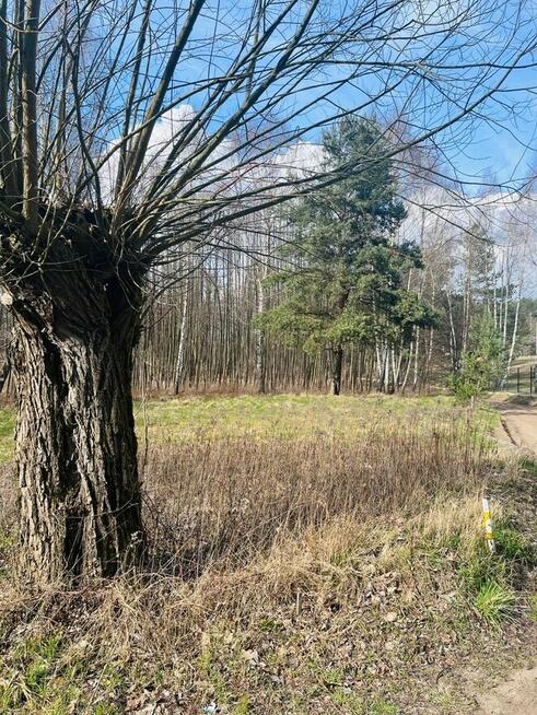 Działka nad jeziorem