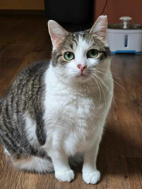 Alarm!!Busia Zielone Oczko blaga o dom Likwidacja DT-Wolont