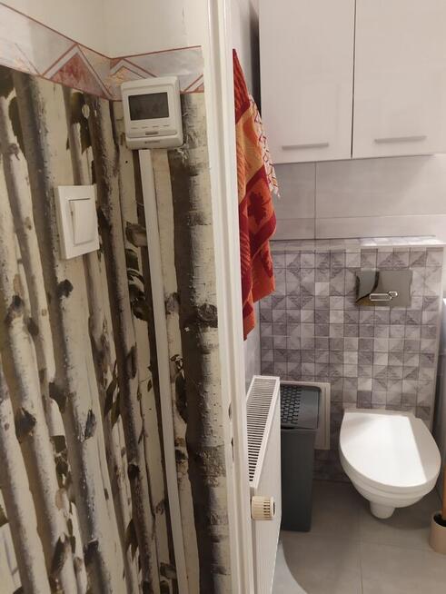 Mieszkanie w Niemczy do zamieszkania od zaraz