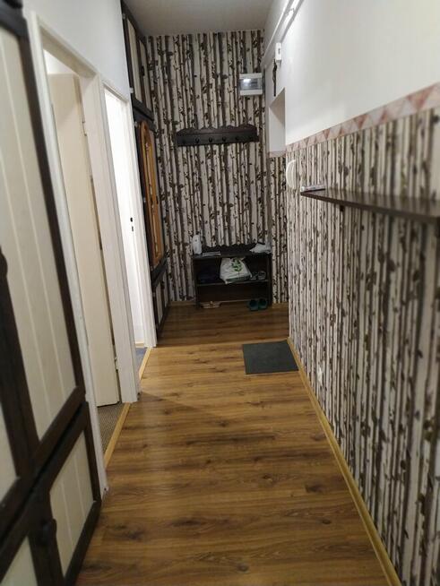 Mieszkanie w Niemczy do zamieszkania od zaraz