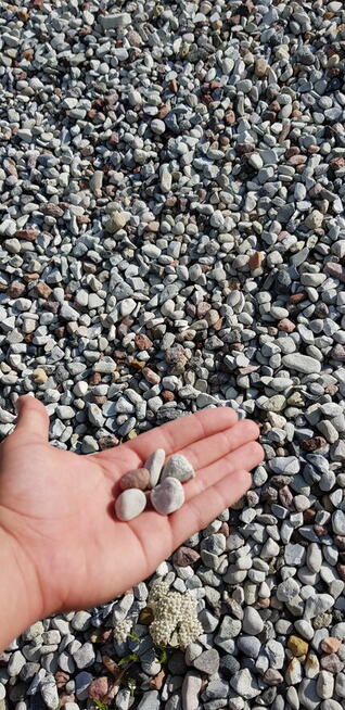 Żwir, Kamień Łamany, Otoczaki, Piasek, Głazy Grys