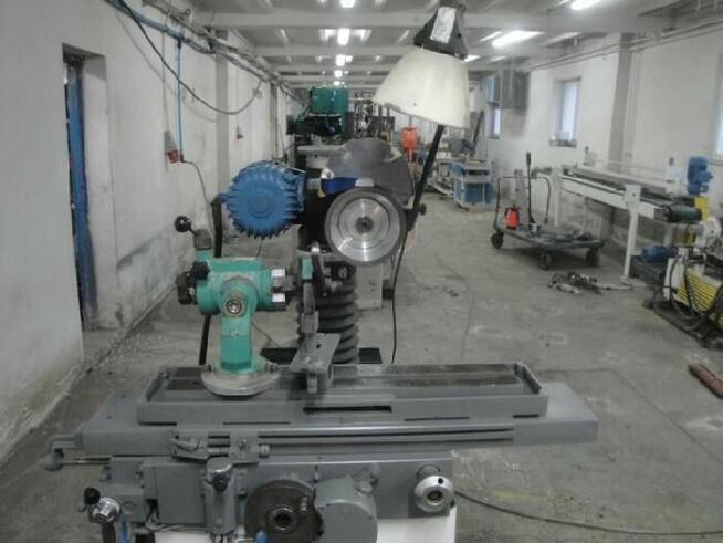 Szlifierka, Ostrzałka, Ostrzarka GRIFO F36 M lignum