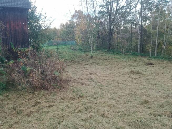 Koszenie/ cięcie żywopłotów