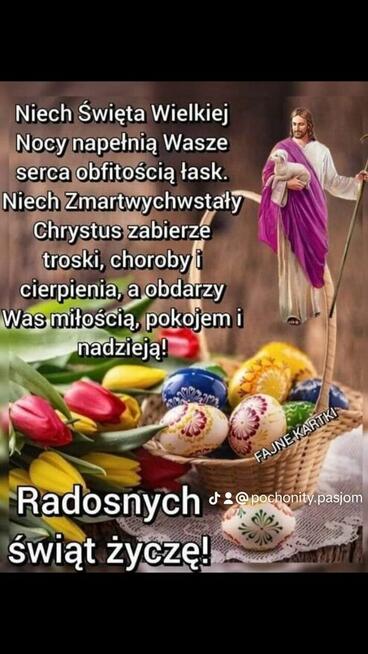 Kawaler szuka stałego związku