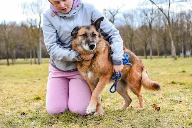Staruszka Wendy- pilnie potrzrbjy wyrozumiały dom