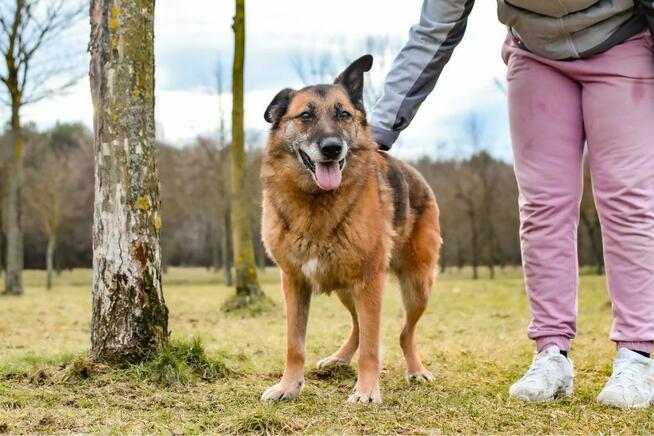 Staruszka Wendy- pilnie potrzrbjy wyrozumiały dom