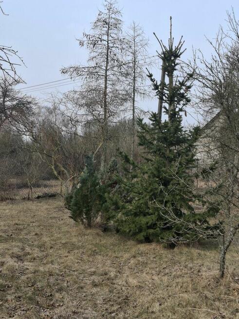 Siedlisko do sprzedania w sąsiedztwie rzeki Narew
