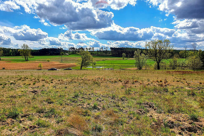 Bajeczna działka pod lasem z rozpoczętą budową!