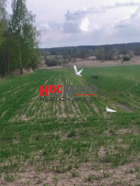 Działka budowlana Kępa Skórecka gm. Magnuszew