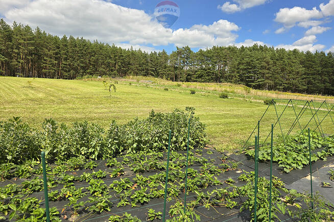 Bajeczna działka pod lasem z rozpoczętą budową!