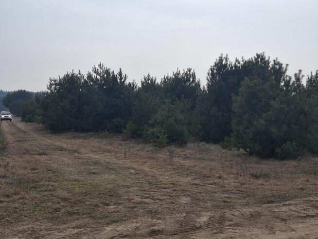 Siedlisko do sprzedania w sąsiedztwie rzeki Narew