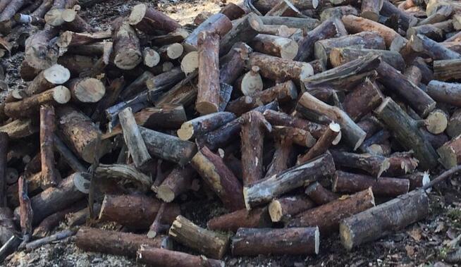 opał drewno opałowe