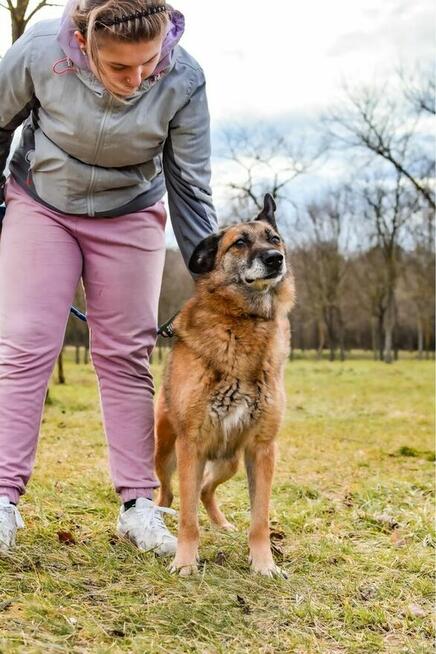 Staruszka Wendy- pilnie potrzrbjy wyrozumiały dom