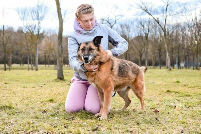 Staruszka Wendy- pilnie potrzrbjy wyrozumiały dom