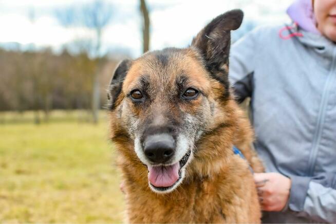 Staruszka Wendy- pilnie potrzrbjy wyrozumiały dom