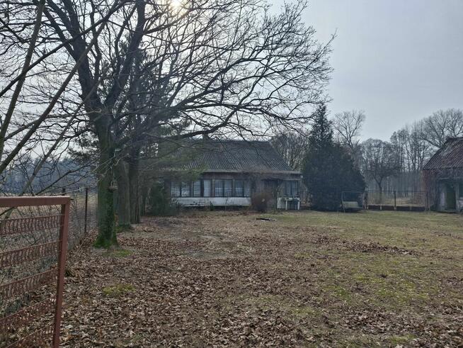 Siedlisko do sprzedania w sąsiedztwie rzeki Narew