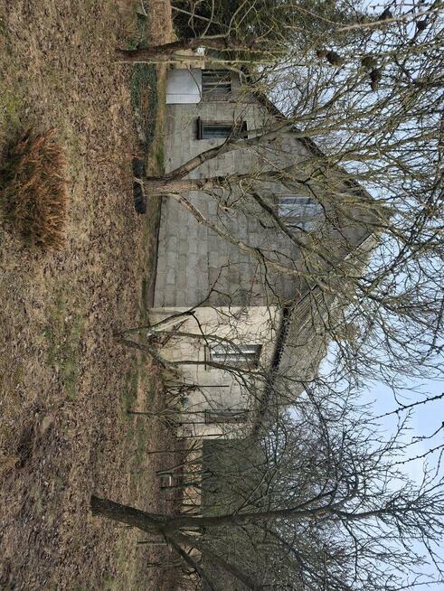 Siedlisko do sprzedania w sąsiedztwie rzeki Narew