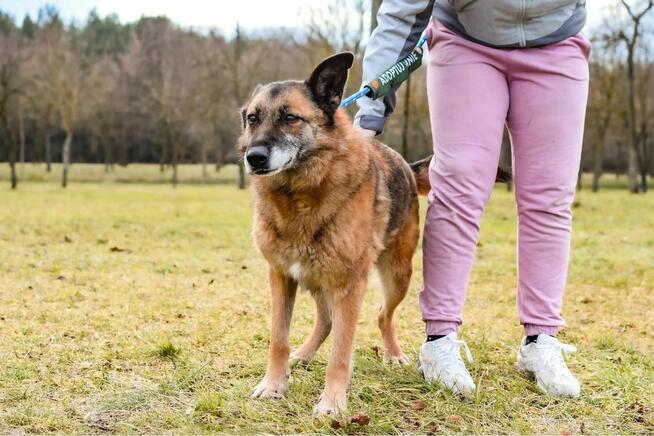 Staruszka Wendy- pilnie potrzrbjy wyrozumiały dom